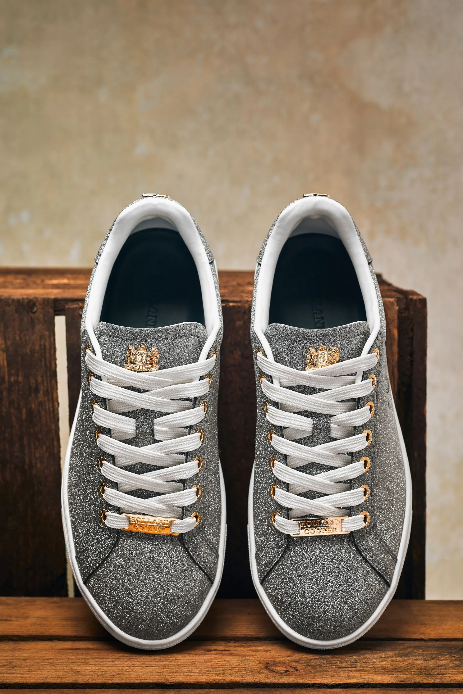 Knightsbridge Crystal Trainer (Silver Crystal)